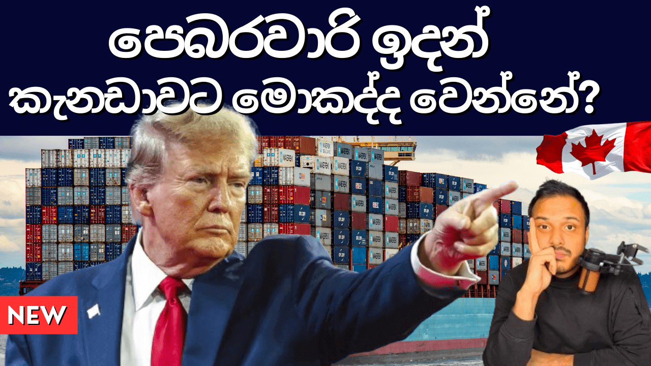 What Trump Did to Canada Starting February 2025, analysis done in Sinhala